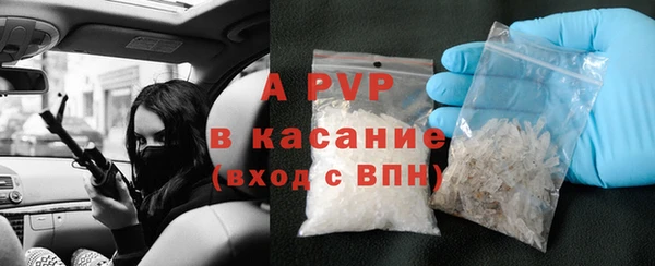 spice Новодвинск