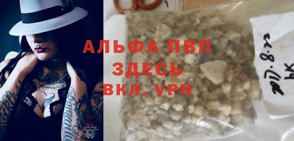 spice Новодвинск