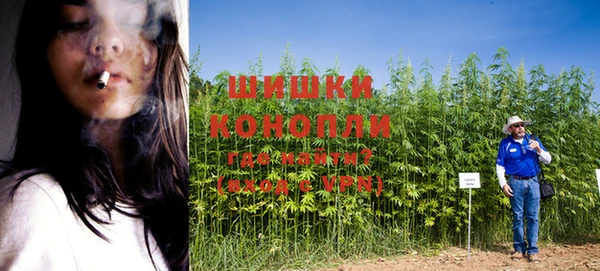 каннабис Новозыбков
