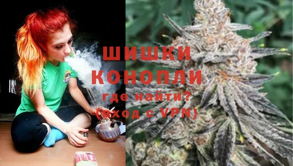 каннабис Новозыбков