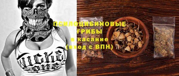 каннабис Новозыбков