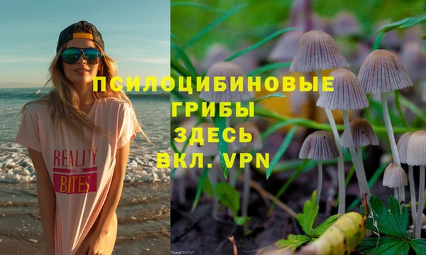 стафф Бикин