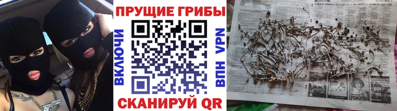 Галлюциногенные грибы Cubensis  где можно купить наркотик  Кувшиново 